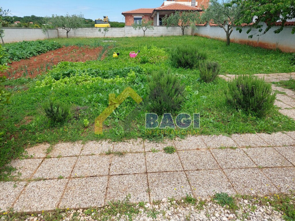 Image 25