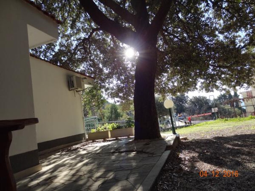 Image 3838467 - 13