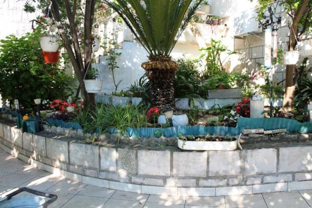 Image 3838601 - 7