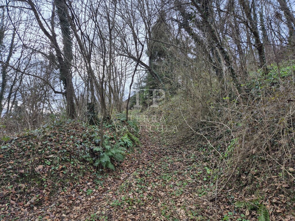 Image 18