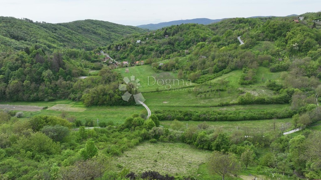 Image 14