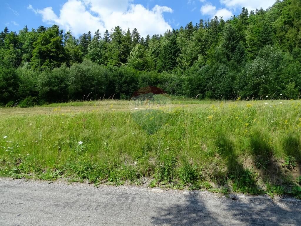 Image 5417609 - 2