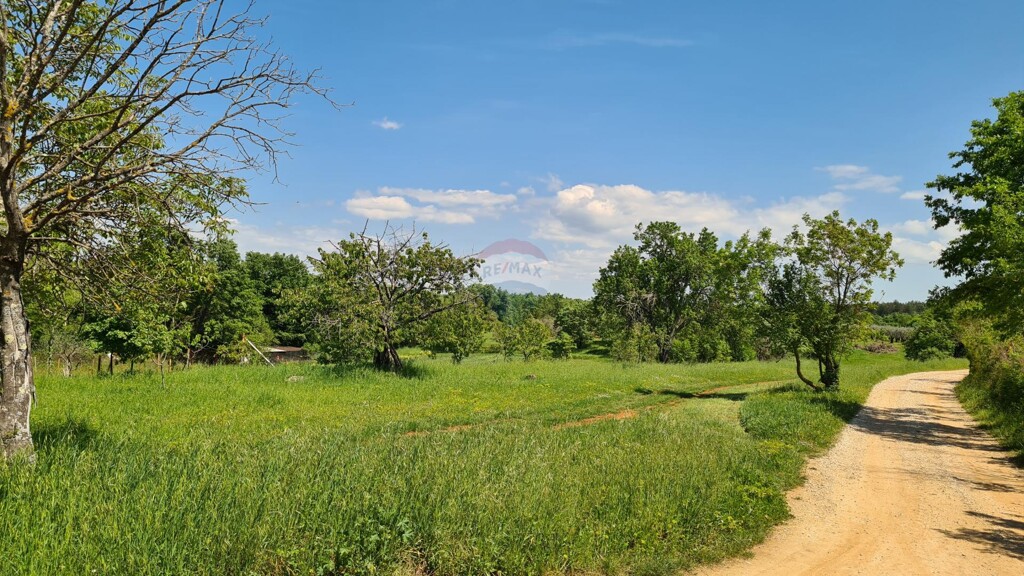 Image 5429960 - 10