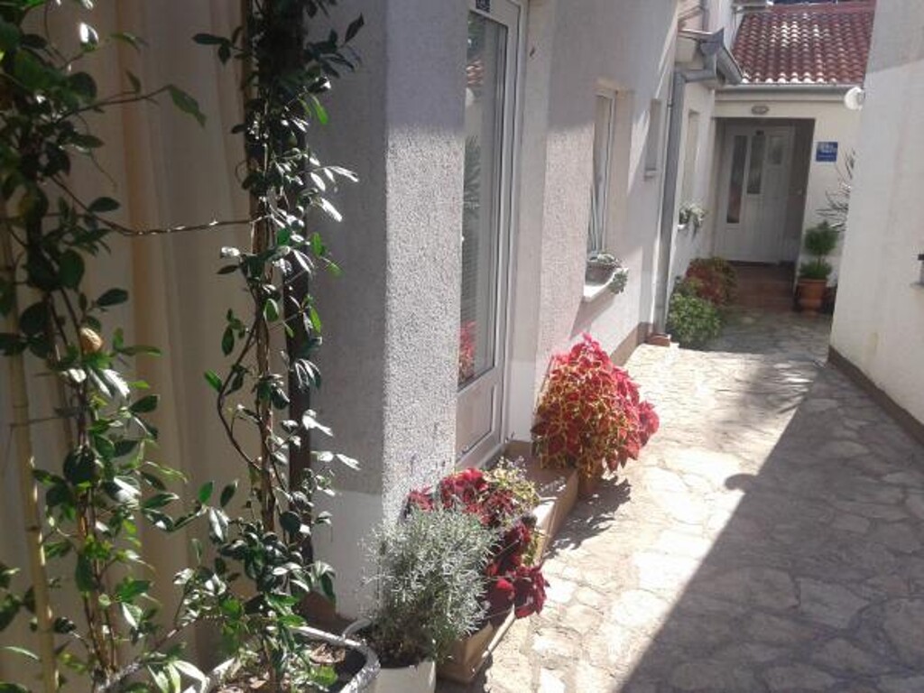 Image 3838556 - 5