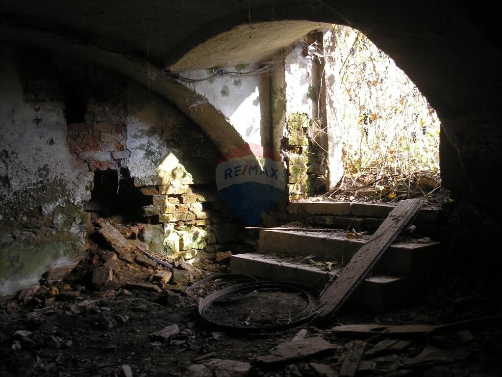 Image 5410919 - 2
