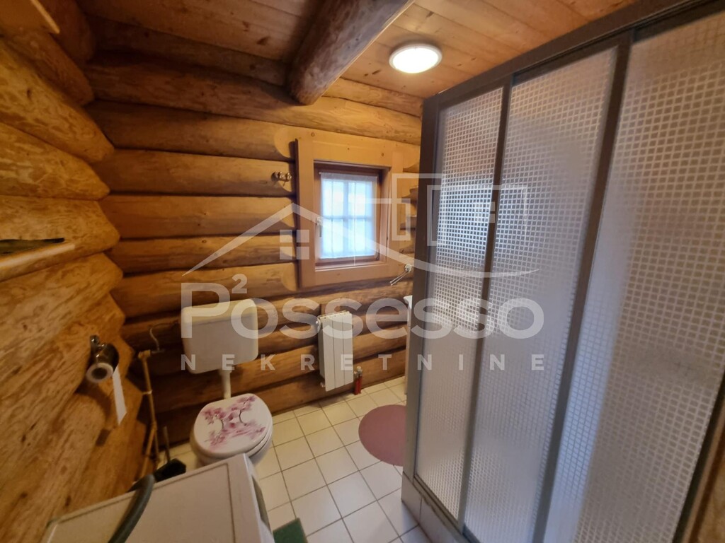 Image 19