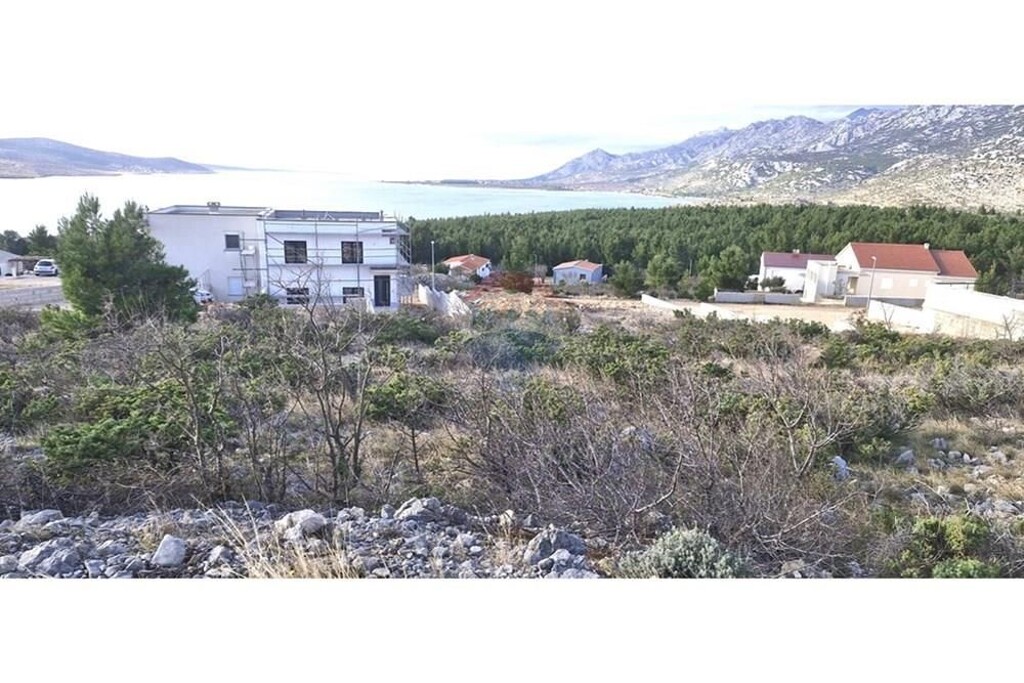Image 13