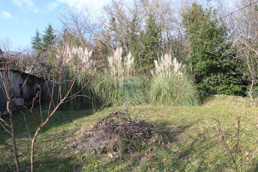 Image 5409735 - 2