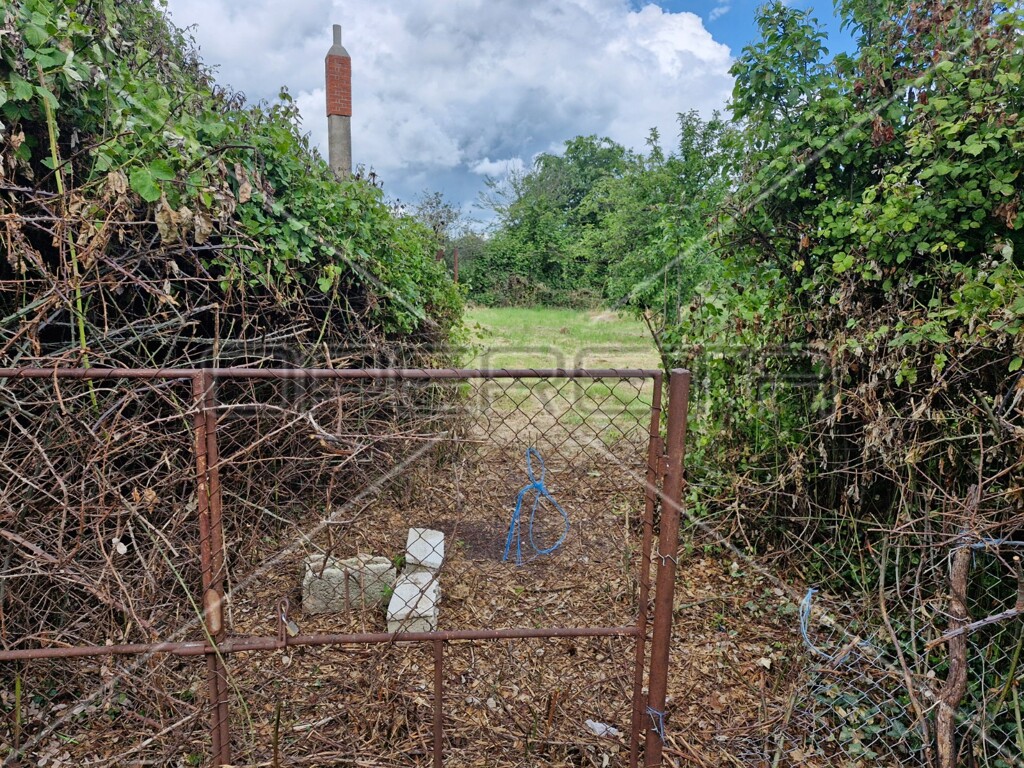 Image 6159174 - 9