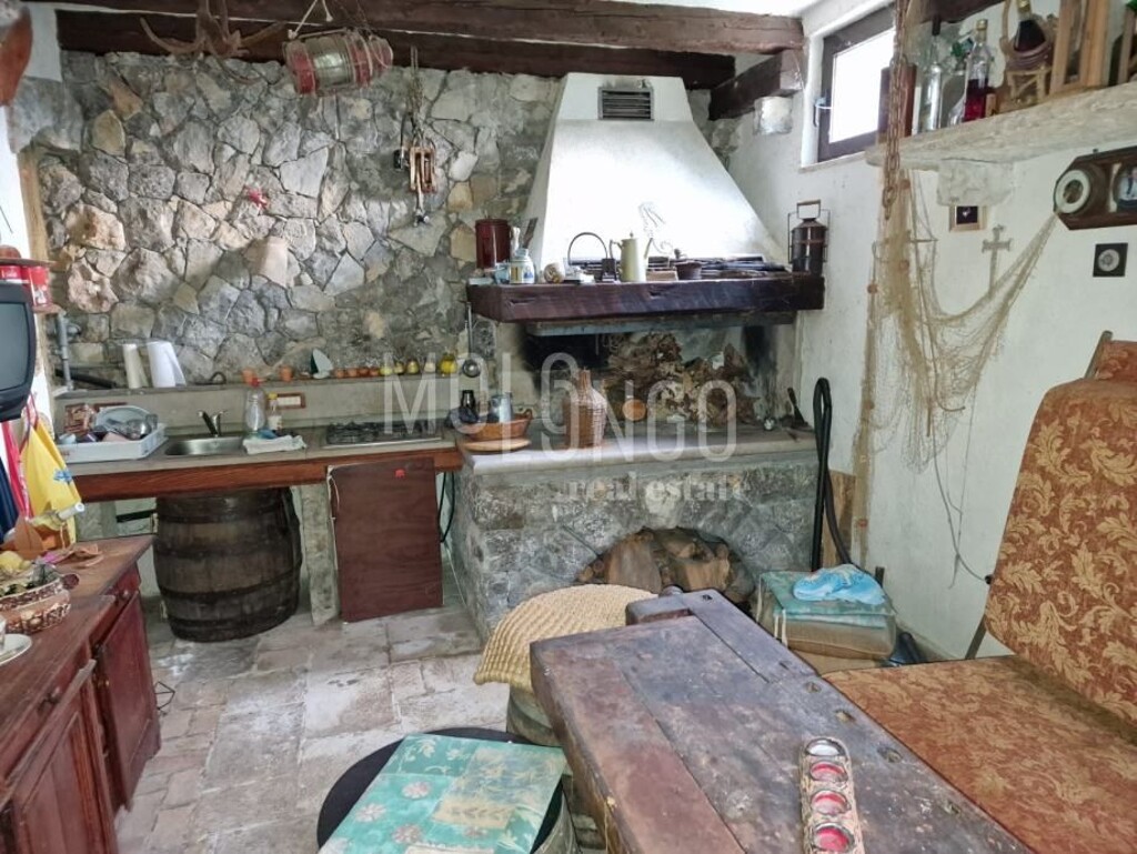 Image 13