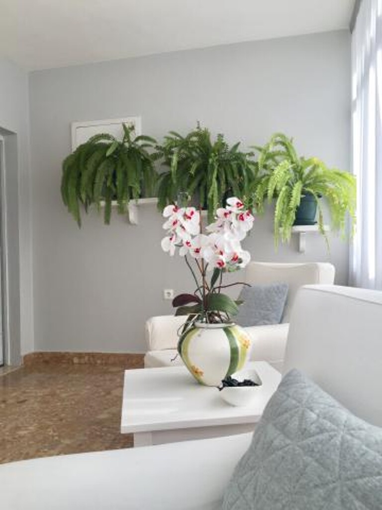 Image 3838829 - 5