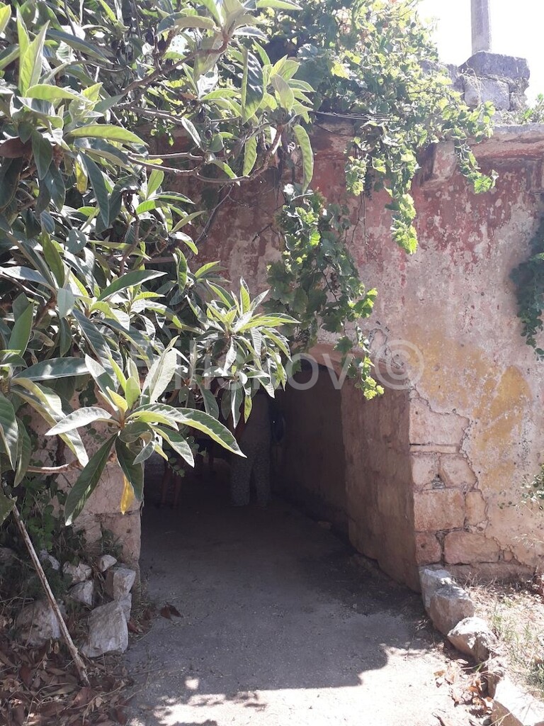 Image 9