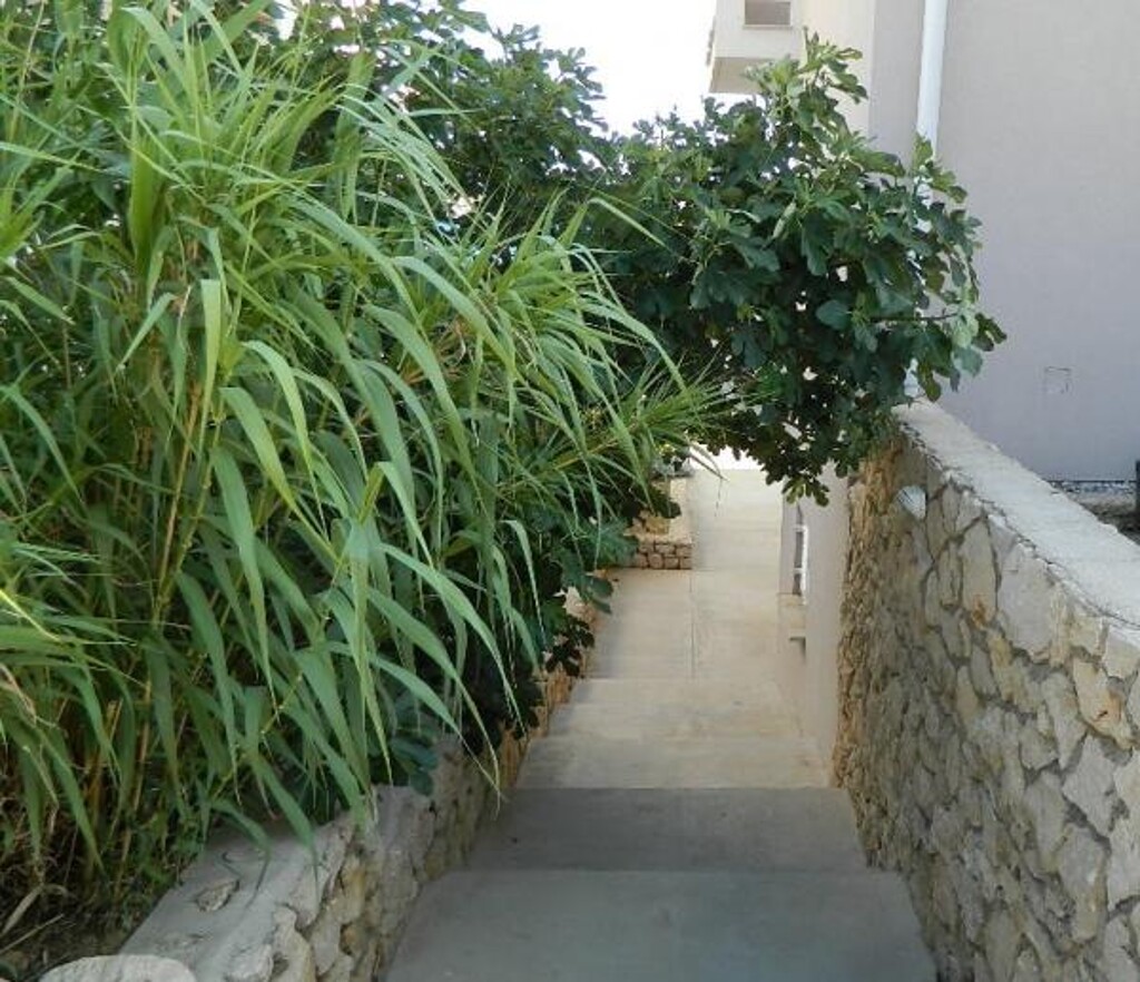Image 3838991 - 15