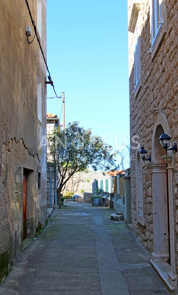 Image 13