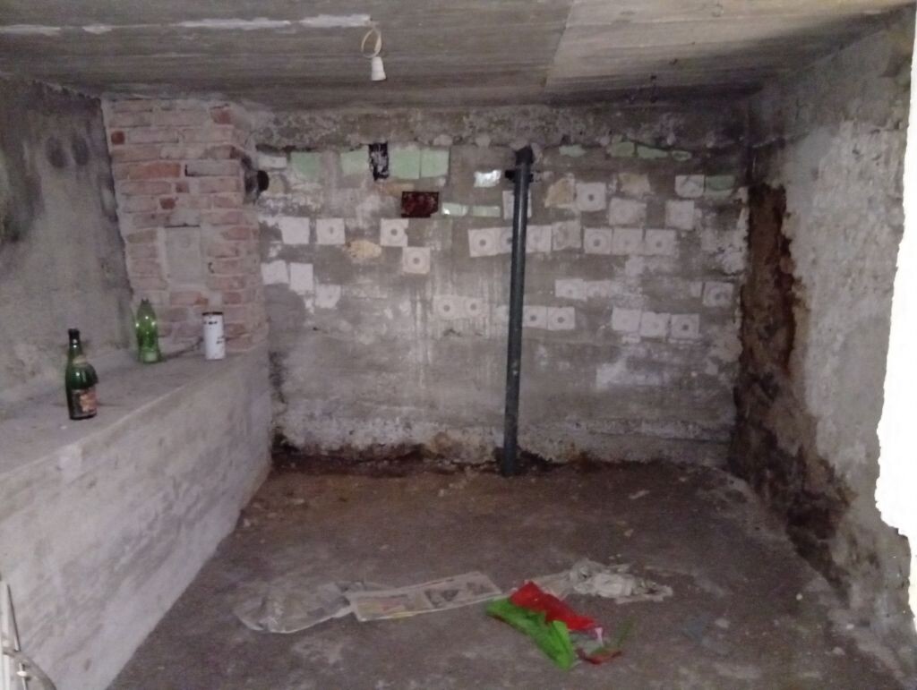 Image 12