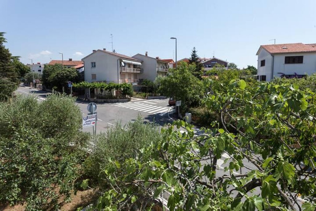 Image 3813580 - 6