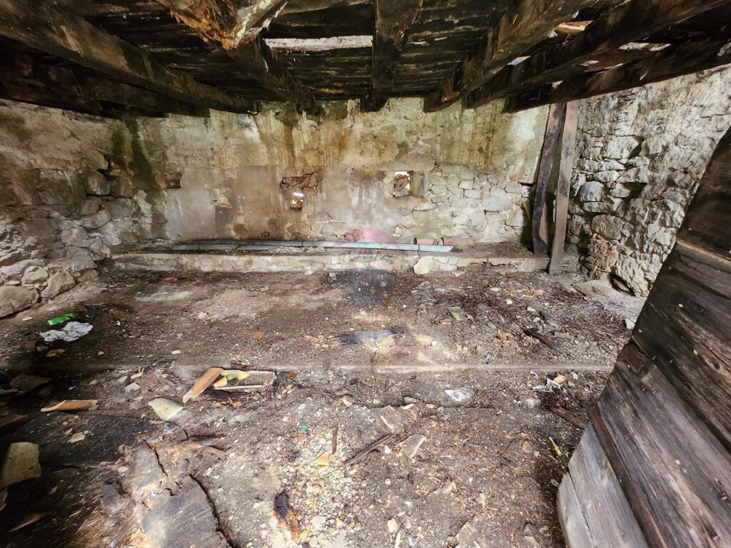 Image 19
