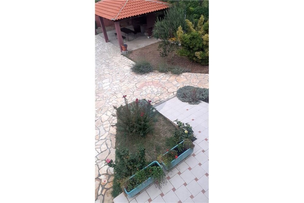 Image 15
