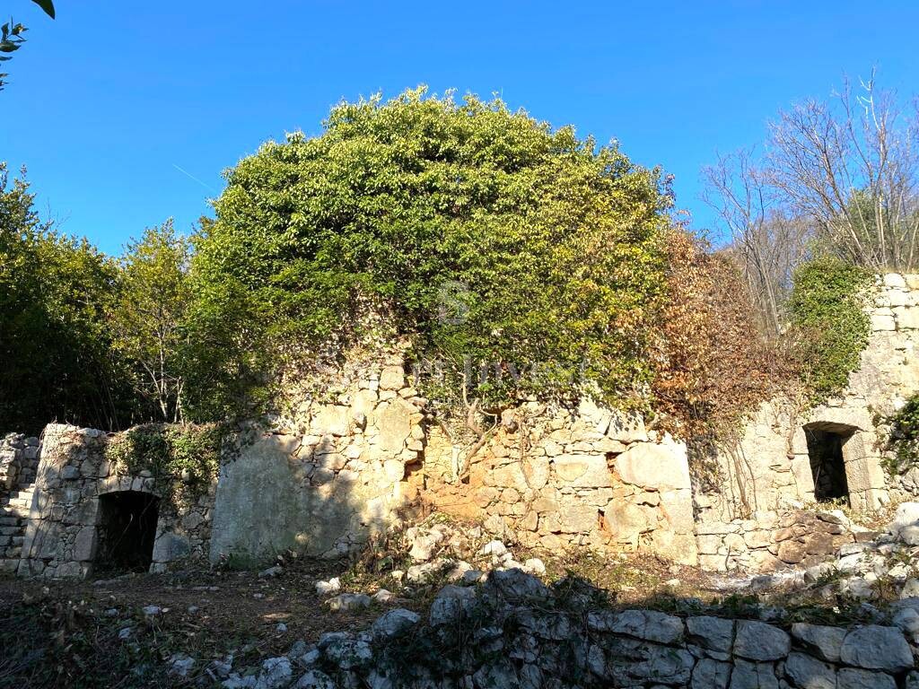 Image 25