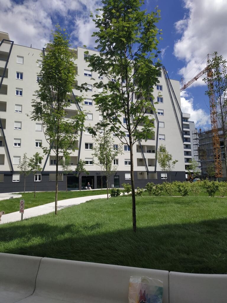 Image 3810653 - 29