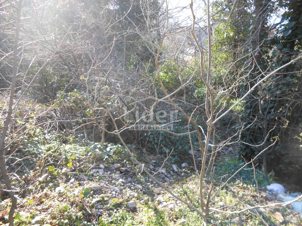 Image 13