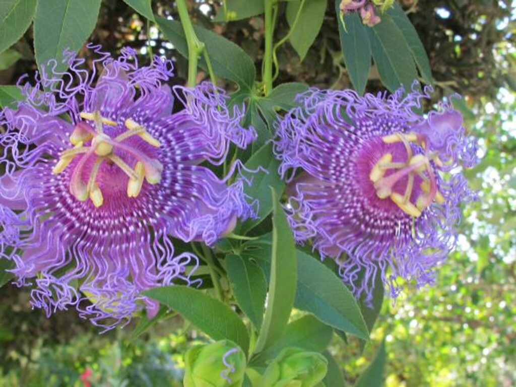 Image 3838917 - 7