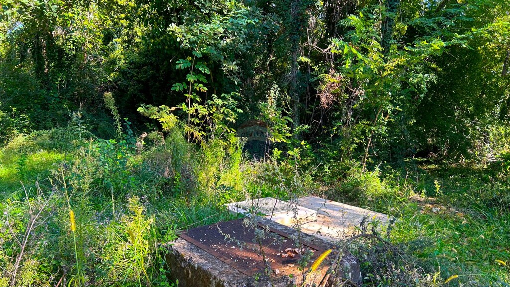 Image 5429199 - 6