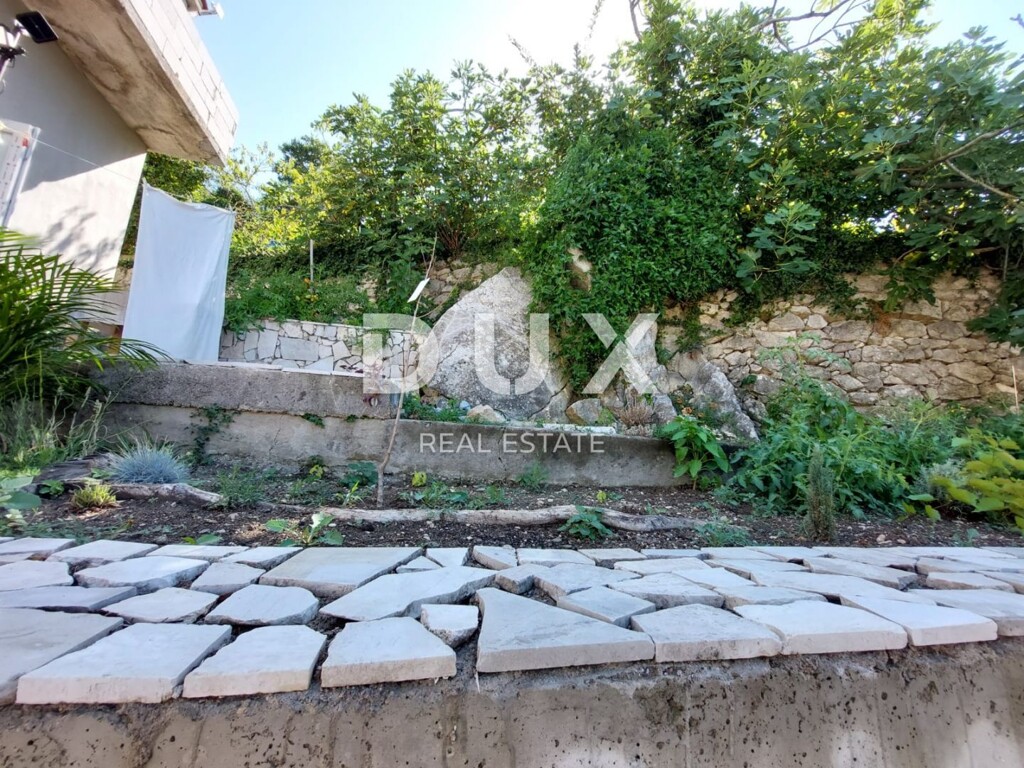 Image 13