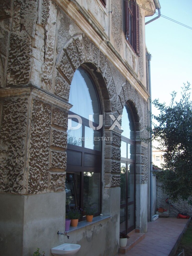 Image 19