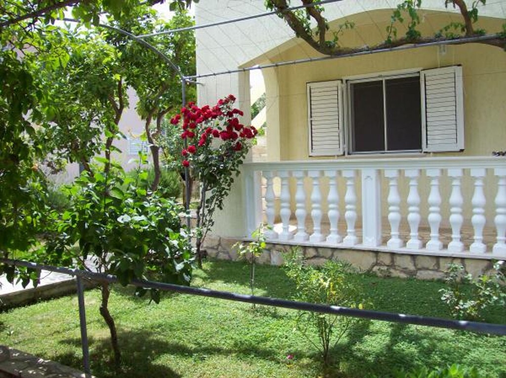 Image 3838995 - 6