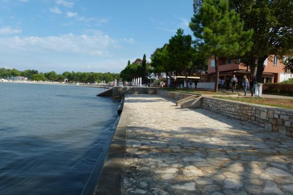 Image 3812210 - 10