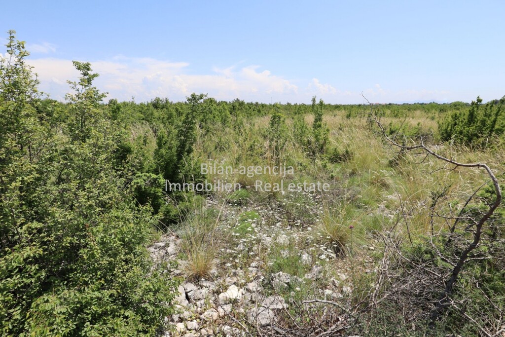 Image 5885567 - 7