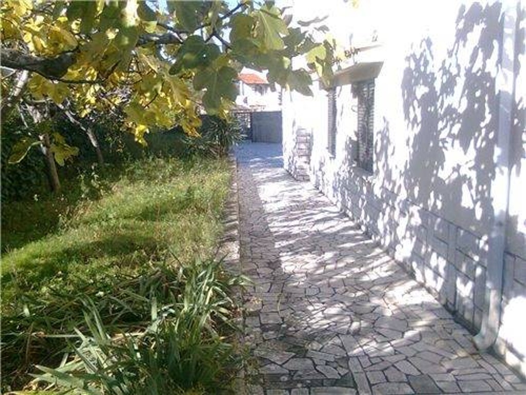 Image 5411366 - 11