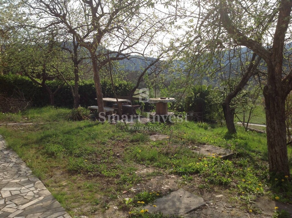 Image 25