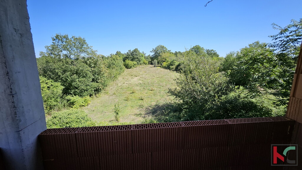 Image 13