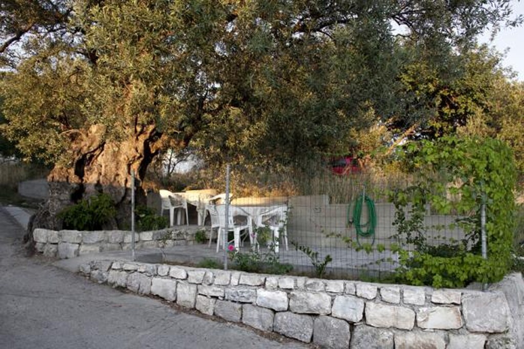 Image 3814339 - 8