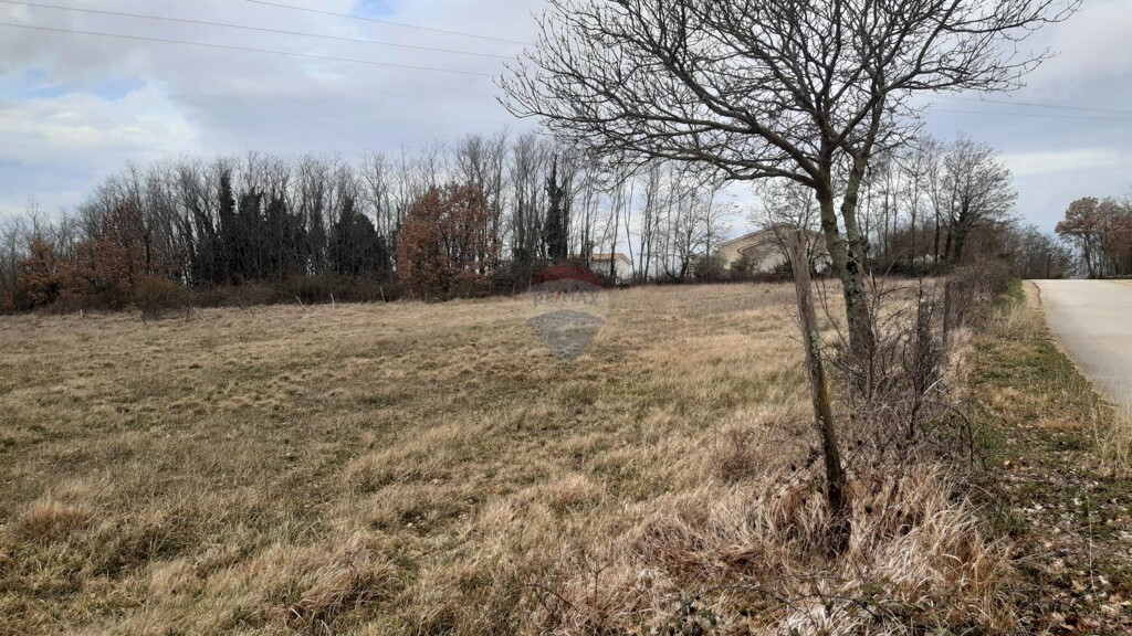 Image 5430237 - 4
