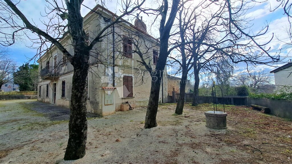 Image 15