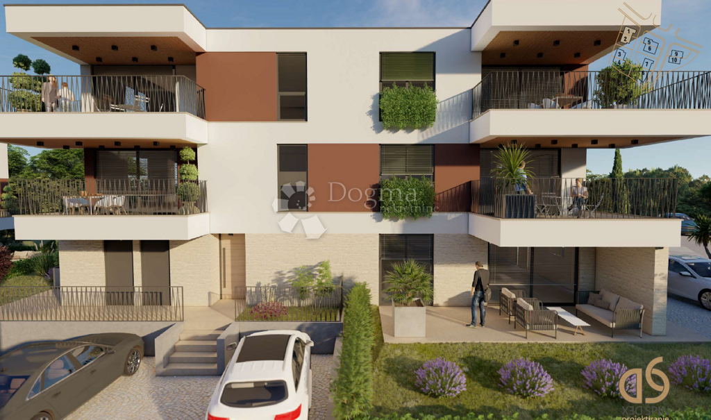 Image 10