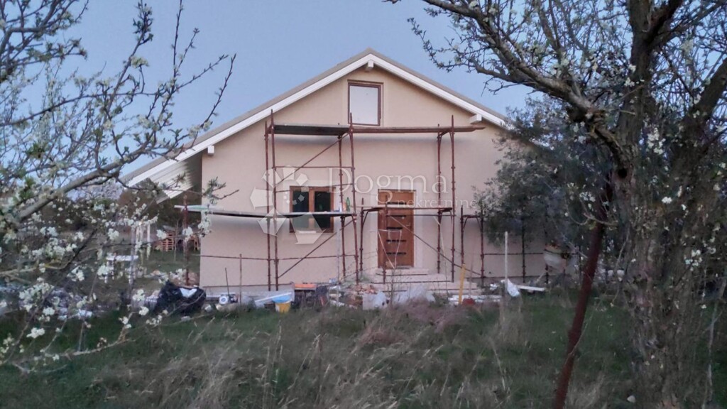 Image 13