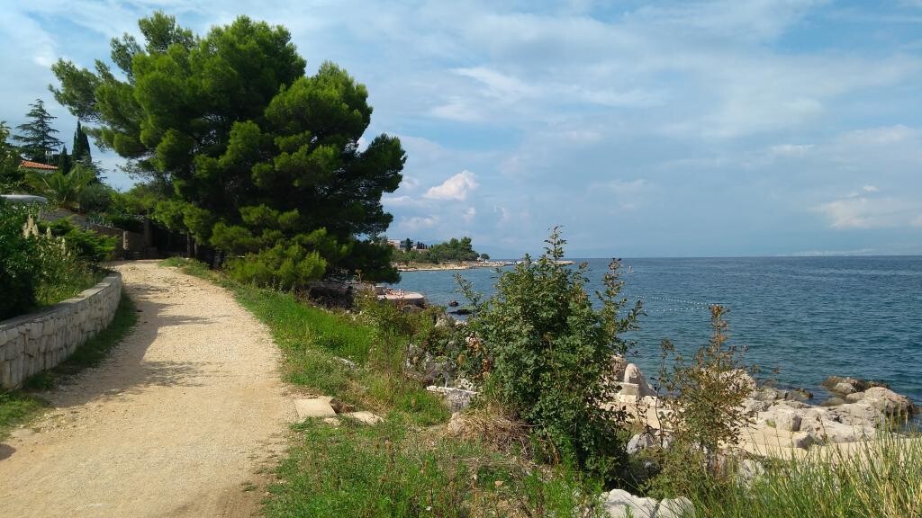 Image 14