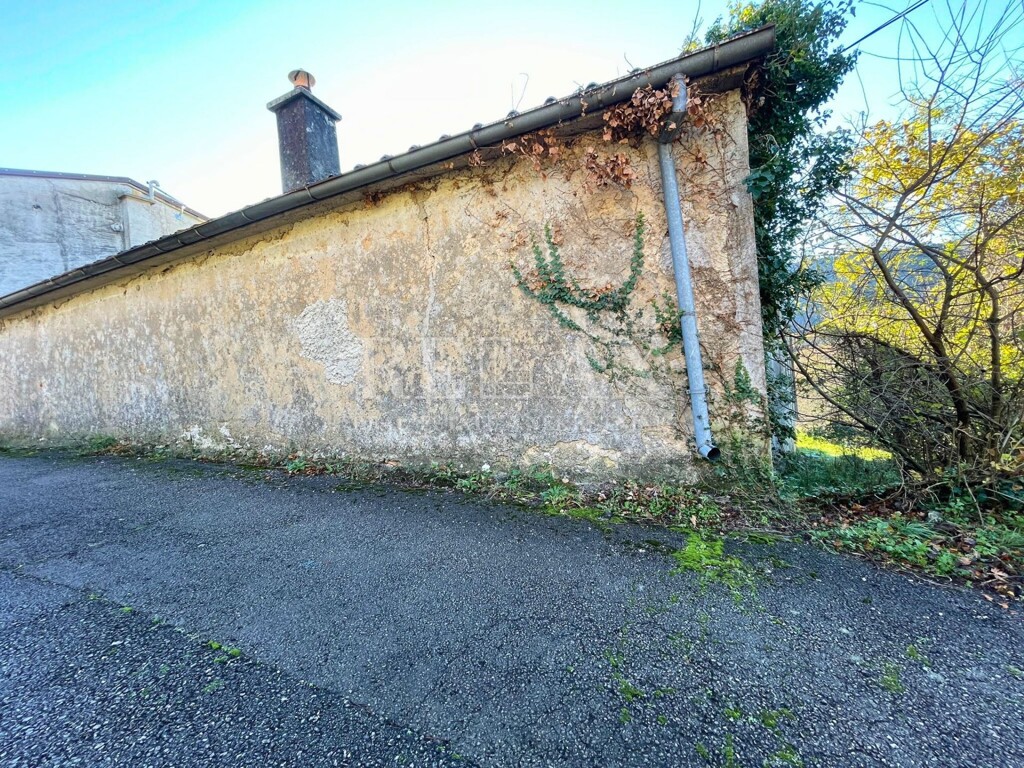 Image 15