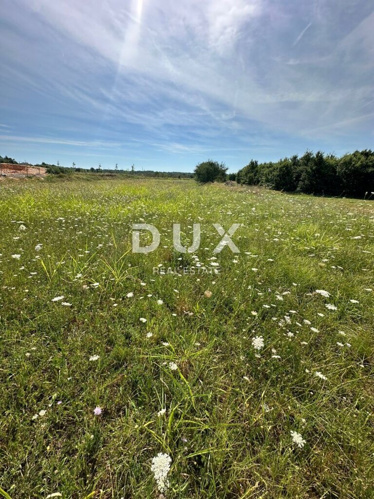 Image 15