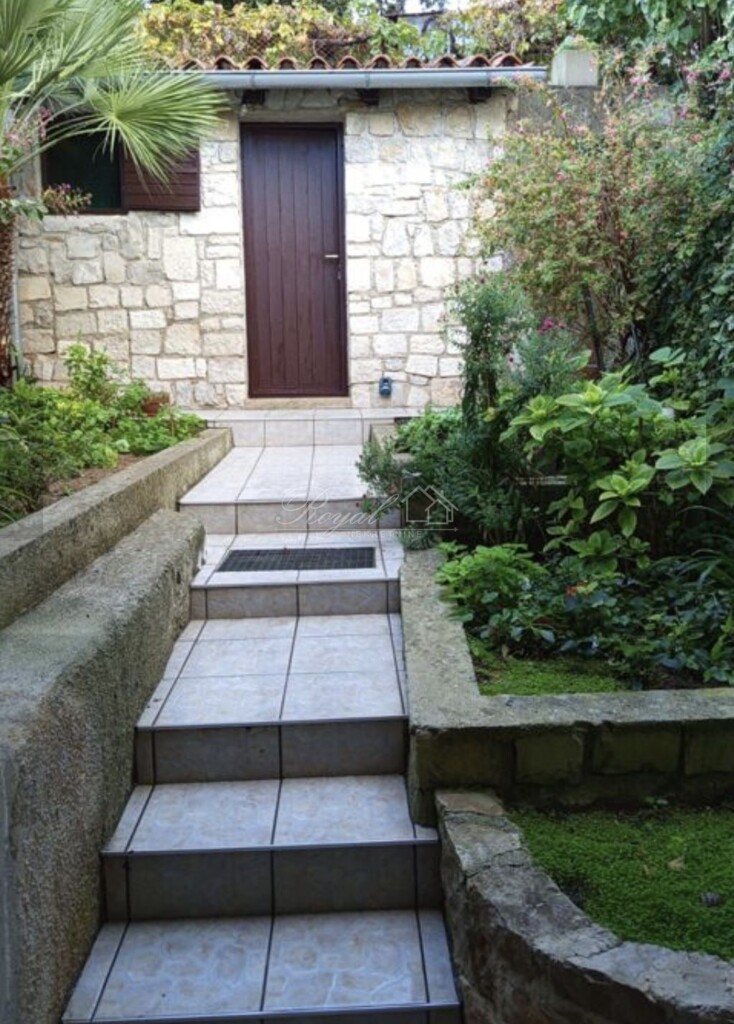 Image 21