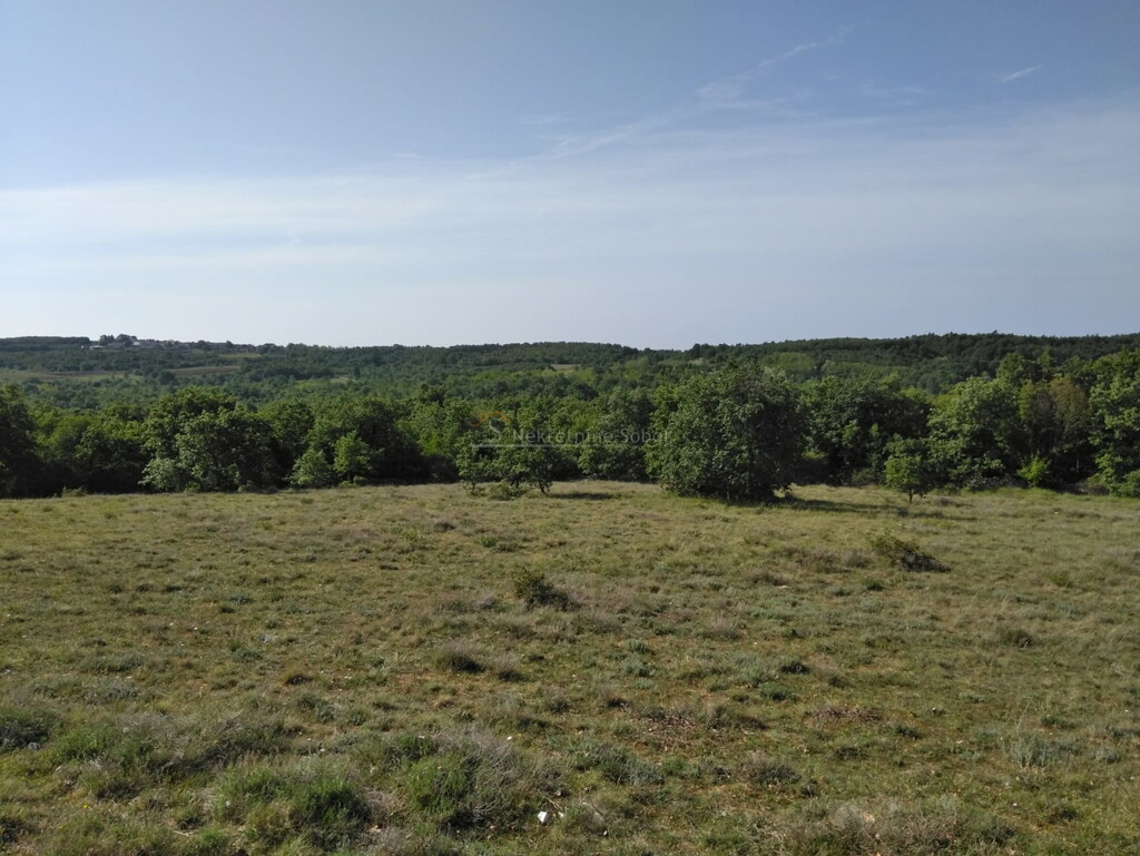 Image 14