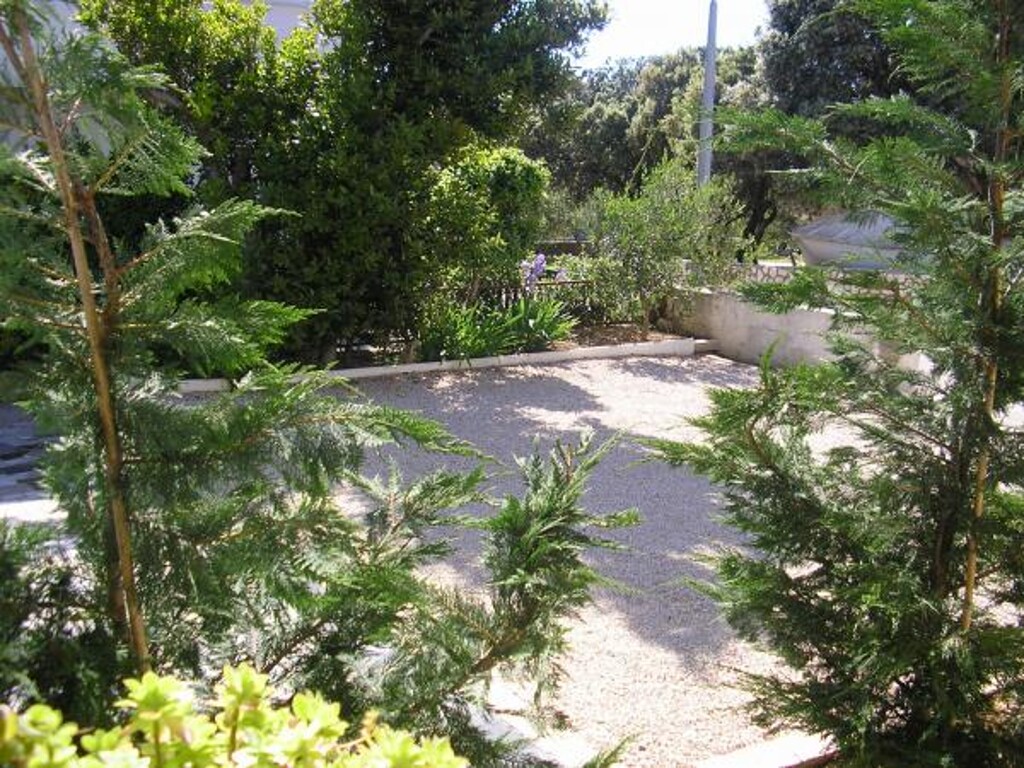 Image 3811044 - 7