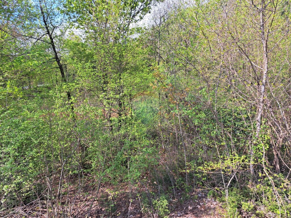 Image 5429984 - 2