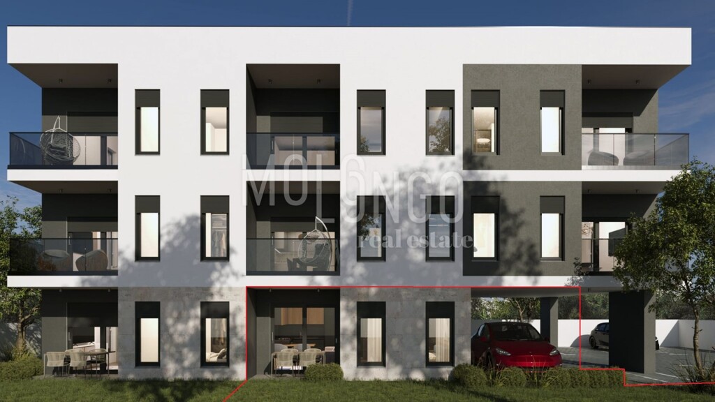 Image 10