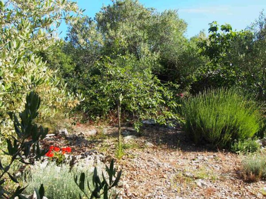 Image 23