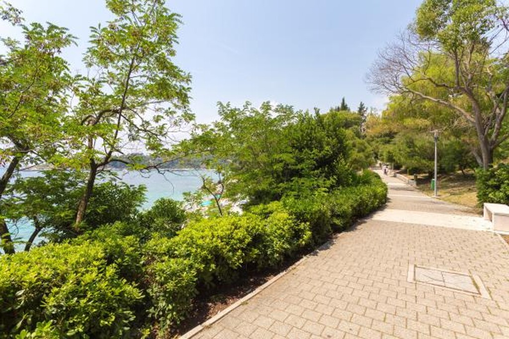 Image 3811363 - 12
